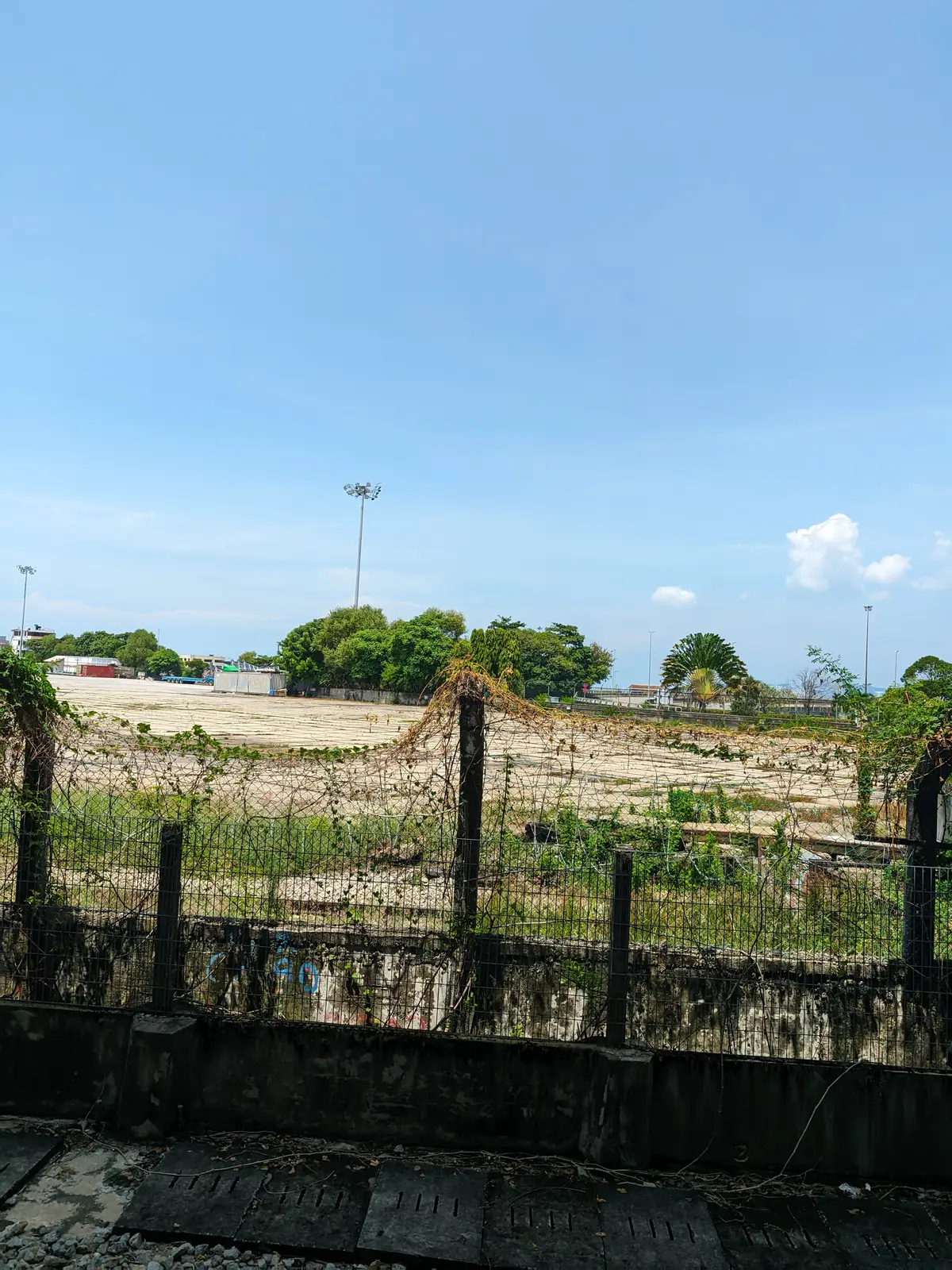 Image-6