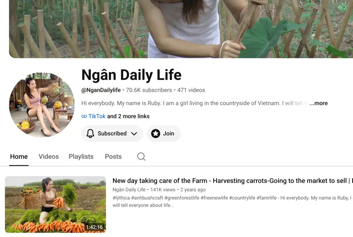 Vietnamese social media creator