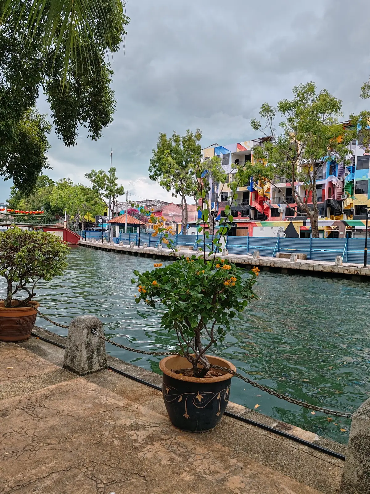Image-7